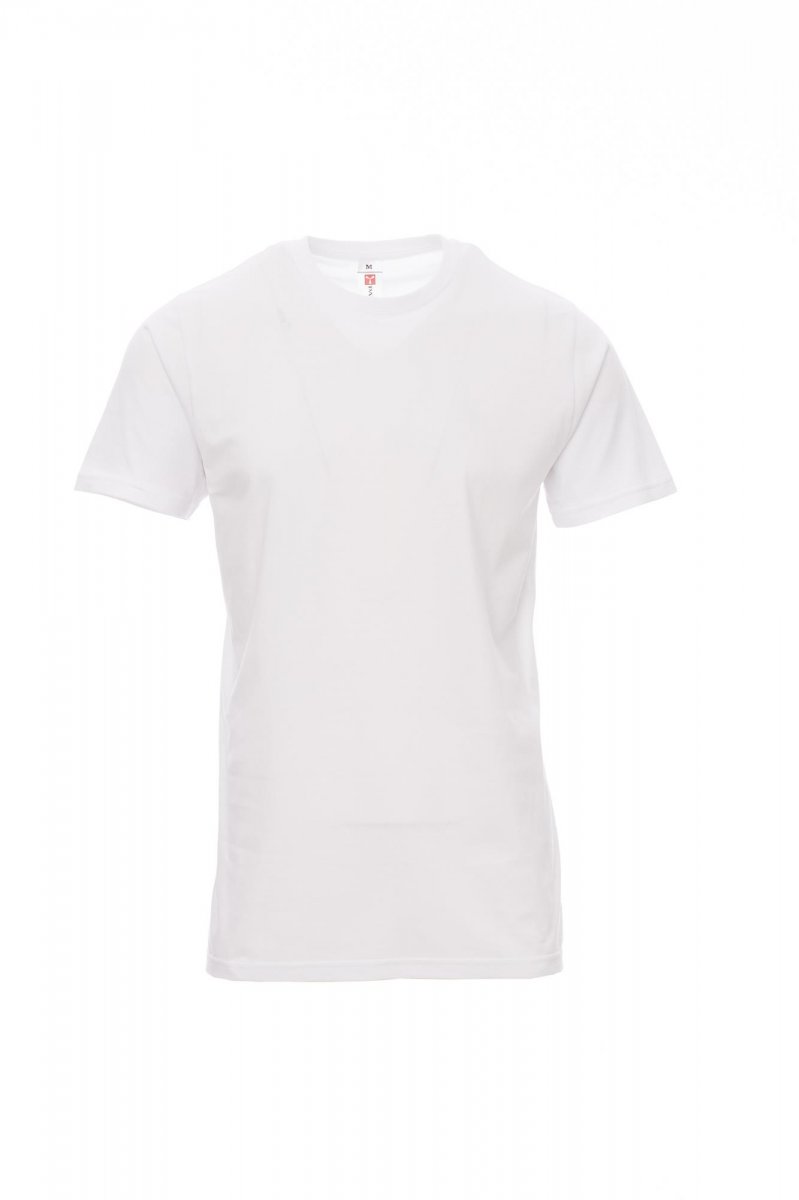 PY-0010480311 PRINT